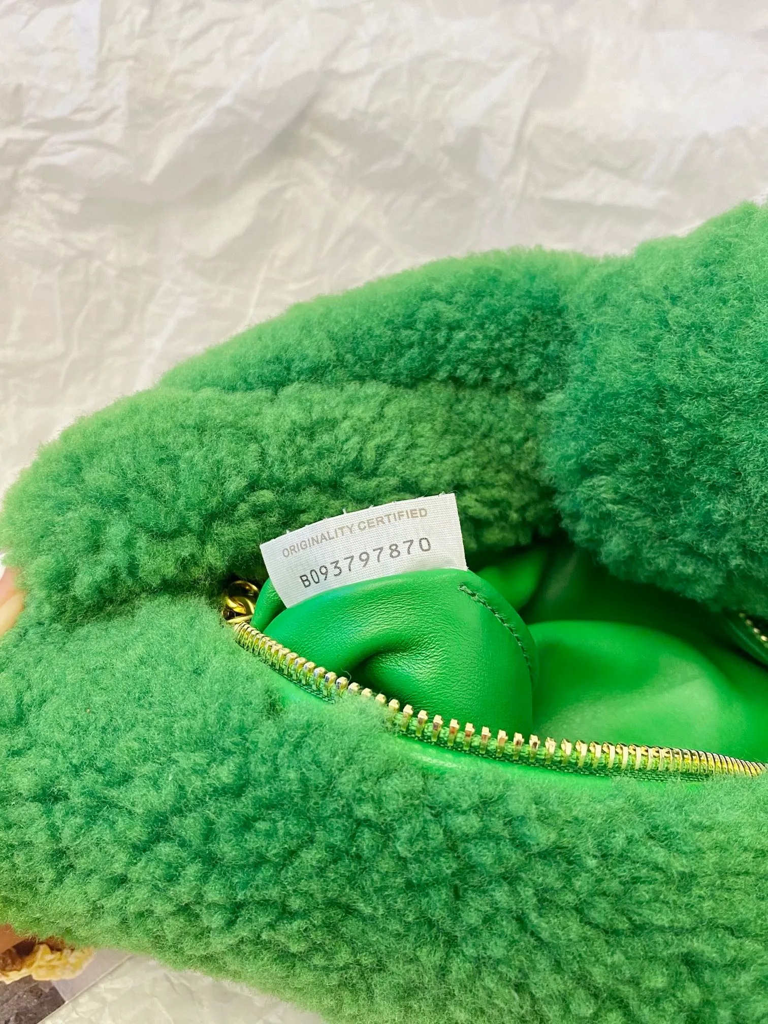 Random photoshoot ~ Fluffy jodie parrot green💚